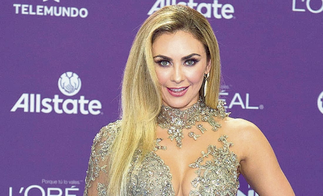 Aracely Arámbula. Foto: Archivo