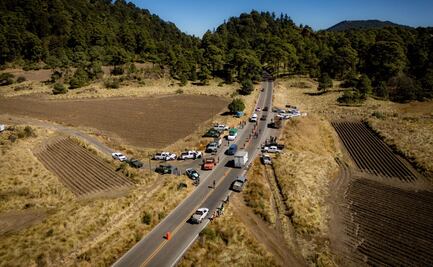 Realizan operativo para inhibir transporte ilegal de madera en Tlalpan; participaron autoridades federales y locales