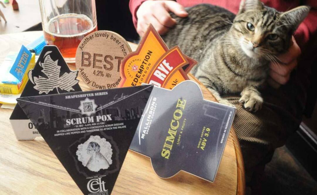 Gatos y cerveza, la mejor combinación que hace del bar Bag of Nails, uno de los preferidos en Bristol. (Foto: Cortesía Bag of Nails)