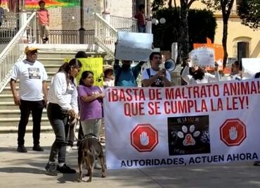 “Presidente, usa la razón, los animales también son tu misión”; familias marchan para exigir alto al maltrato animal en Tlaxiaco, Oaxaca