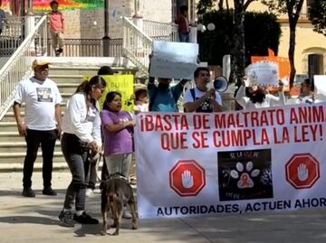 “Presidente, usa la razón, los animales también son tu misión”; familias marchan para exigir alto al maltrato animal en Tlaxiaco, Oaxaca