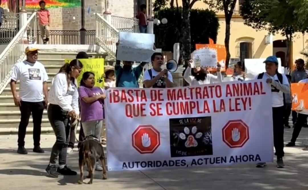Con marcha exigen alto al maltrato animal en Tlaxiaco.
Foto: Especial.