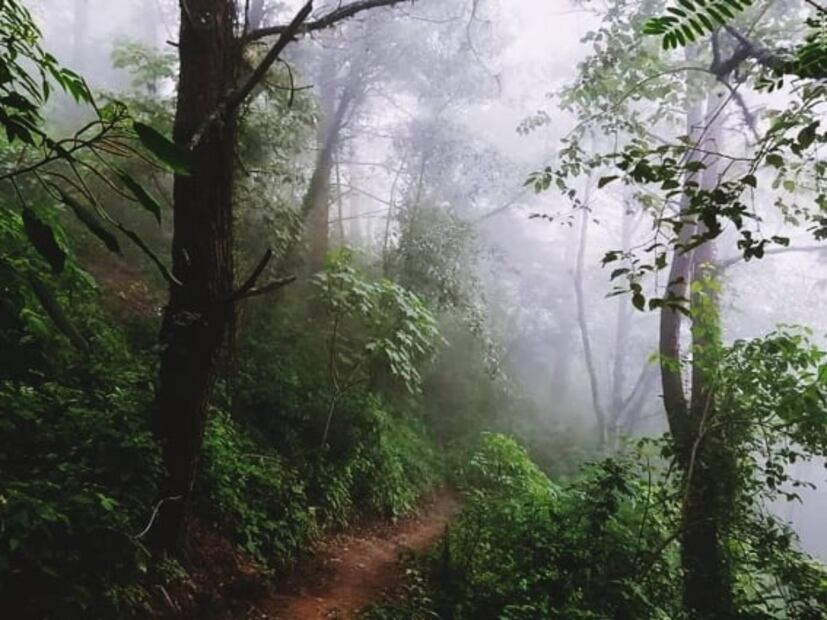 En Oaxaca, lánzate a las cabañas del Bosque de los Duendes y de las Hadas
