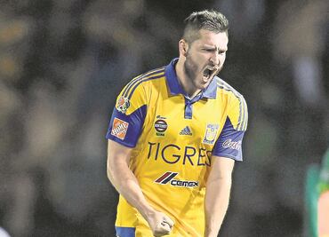 Tigres, con toque francés