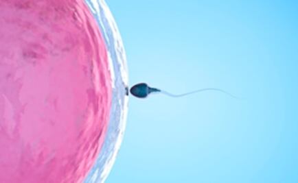 Las virtudes de un buen nadador