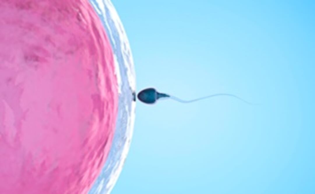 Las virtudes de un buen nadador