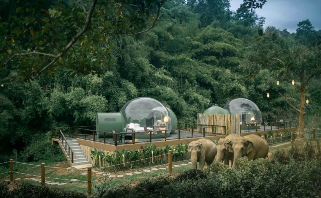 Cada burbuja tiene dormitorio, sala de estar y baño privado. Foto: Cortesía