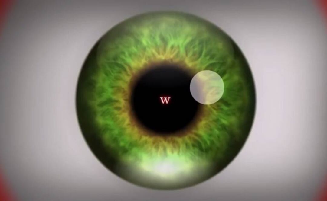 Las imágenes del video estimularán la percepción. Foto: Captura YouTube