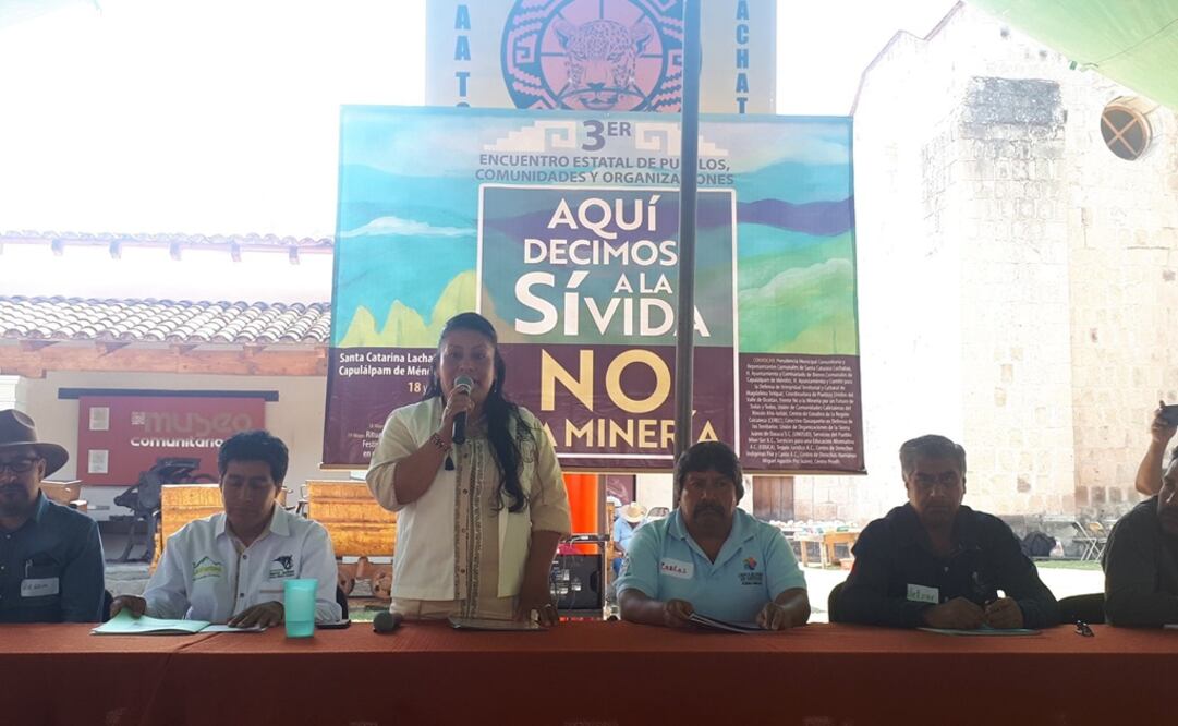 Foto: Tomada de @ColmenaOaxaca