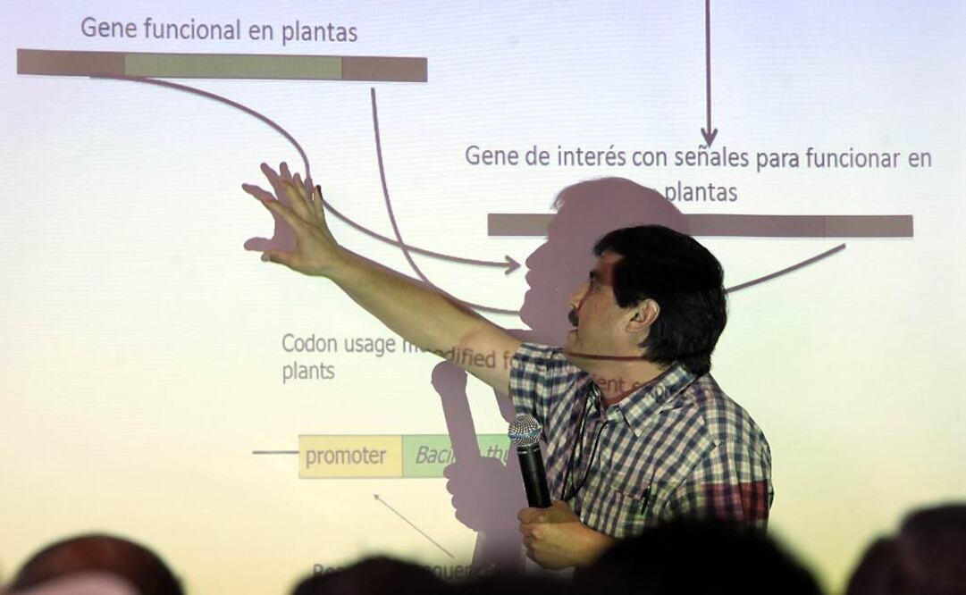 Es titular del Laboratorio Nacional de Genómica para la Biodiversidad del Cinvestav. Foto: Archivo