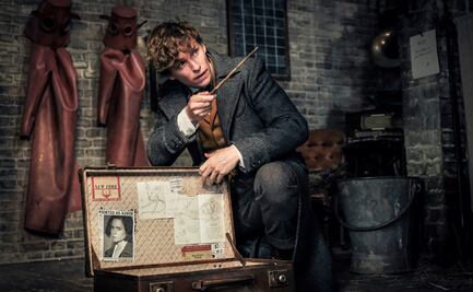 Eddie Redmayne contradice a Rowling