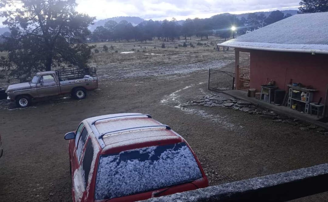 Caen lluvias ligeras y nieve en 21 municipios de Chihuahua (10/02/2026). Foto: Especial