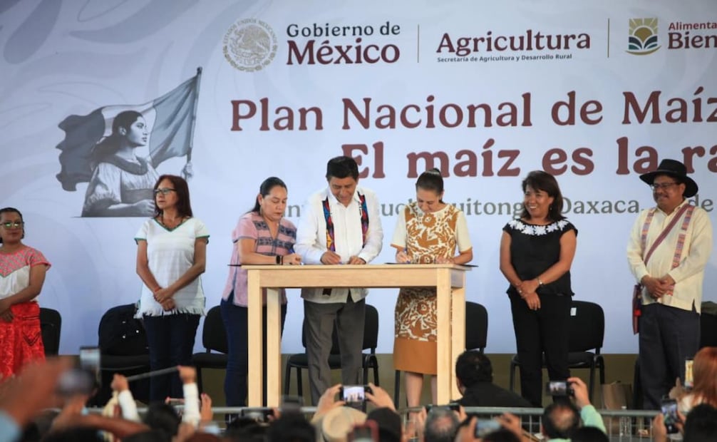 Programa "El maíz es la raíz" en Oaxaca, encabezado por la presidenta de México, Claudia Sheinbaum. Foto: Edwin Hernández / EL UNIVERSAL