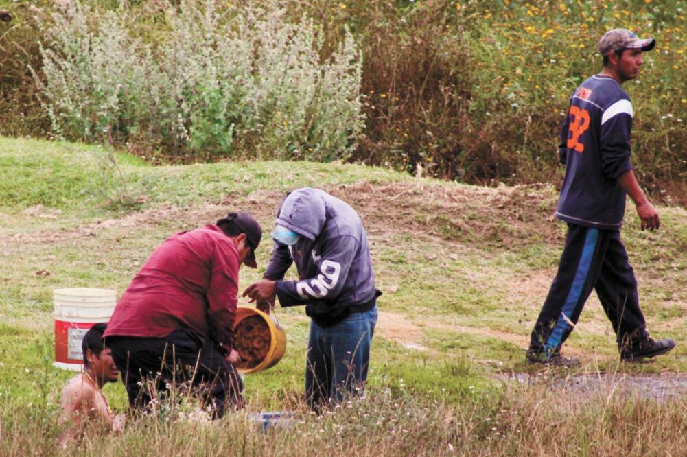 Pérdidas. El número de tomas clandestinas creció 851%; pasaron de mil 323 en 2011 a 12 mil 581 en 2018. Foto: ARCHIVO EL UNIVERSAL