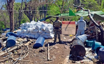 Desmantelan tres narcolaboratorios de Los Chapitos
