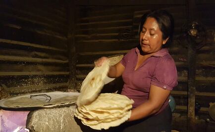 Alsema elabora 25 kilos de tortilla al día