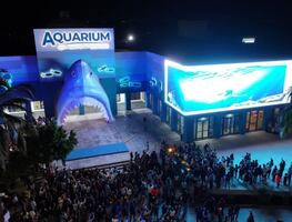 Reportan irregularidades y daño patrimonial de casi 20 mdp en rehabilitación del Aquarium de Veracruz