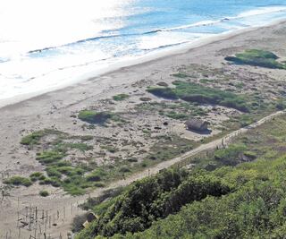 Devastación. Chacahua, amenazada por lotificación ilegal de playa