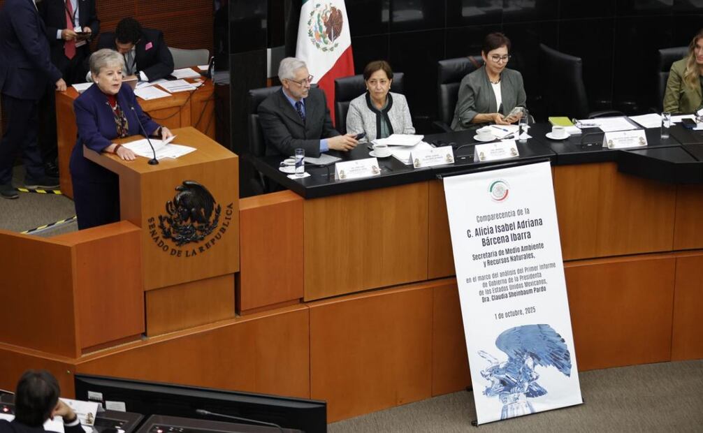Alicia Bárcena, secretaria de Medio Ambiente, comparece ante comisiones del Senado este miércoles 1 de octubre de 2025. Foto: Diego Simón Sánchez/ EL UNIVERSAL