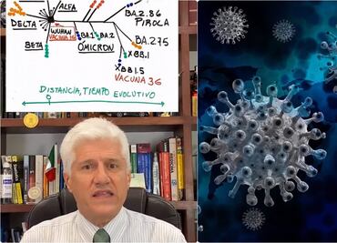 ¿Qué tan grave es la variante Pirola de Covid? Dr. Alejandro Macías aclara panorama