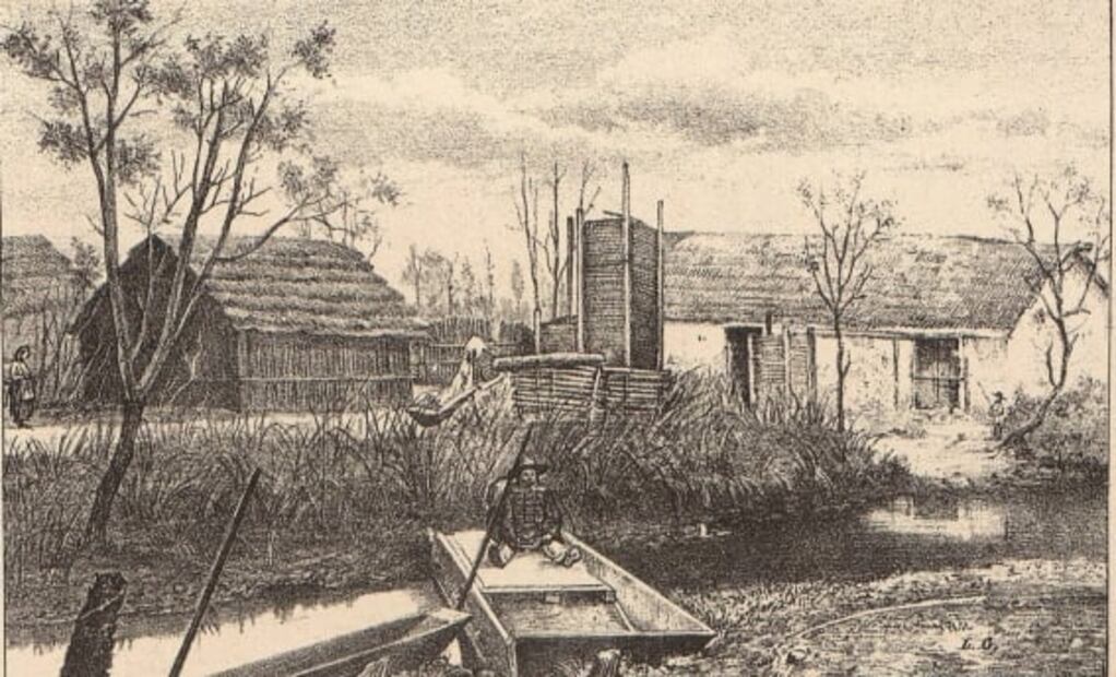 Ahuejotes, los viejos guardianes de las chinampas