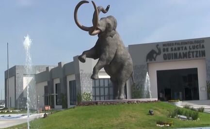 Participa para darle nombre al mamut del Museo de Santa Lucia