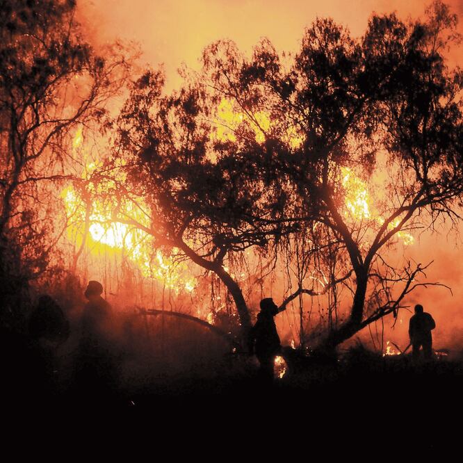 “Incendios afectan  2 mil 393 hectáreas” 