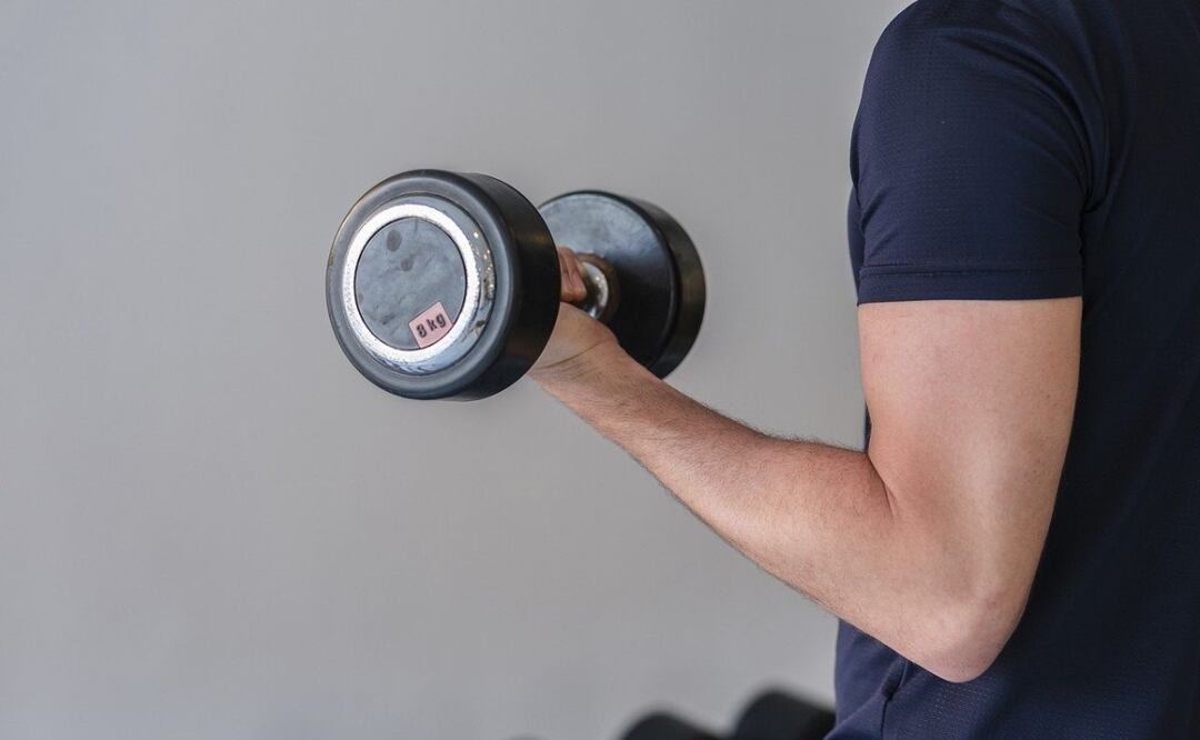 Açaí y regeneración muscular. Fuente: Pixabay