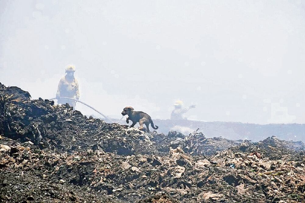 El basurero Los Laureles, ubicado en los límites de Tonalá y El Salto, se incendió el pasado 14 de abril. Foto: ARCHIVO EL UNIVERSAL