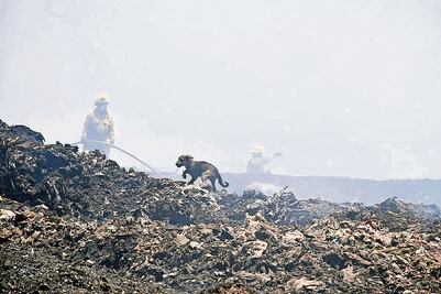 Estiman que incendio en basurero costó 7.5 mdp