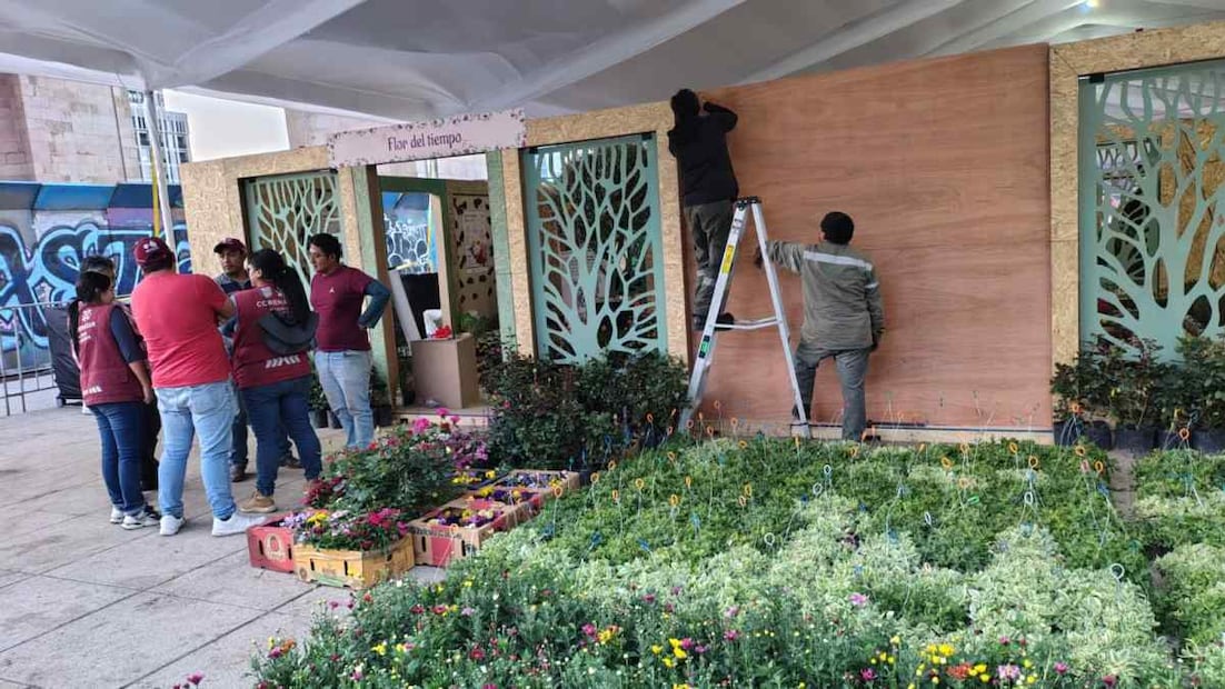 Los asistentes del Primer Festival de las Flores de Primavera 2026 podrán conocer las diferentes especies que se cultivan en el suelo de conservación. Foto: Arantxa Meave / EL UNIVERSAL