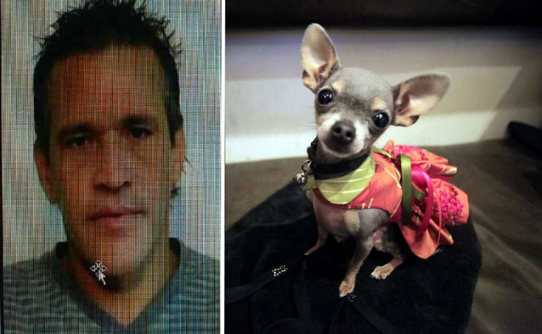 Foto: Fotografía del acusado Luis Arroyo (El Nuevo Día - Puerto Rico /GDA) e imagen ilustrativa de perro chihuahua (AP /Archivo)