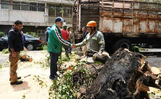 Luis Mendoza supervisa atención de caída de árboles en alcaldía Benito Juárez tras lluvias; tres colonias reportan afectaciones