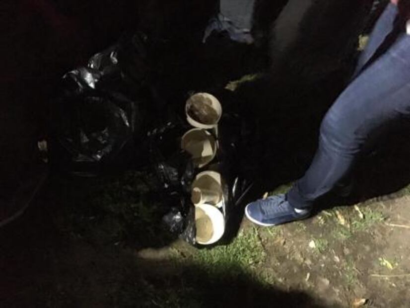 Orden y limpieza en la proyección de "Roma" en Los Pinos