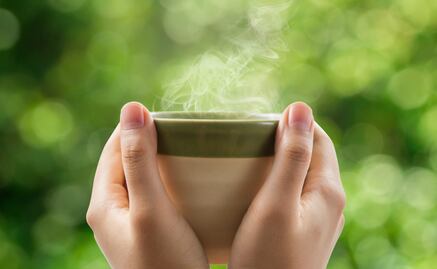 Alimentos que evitan el estrés