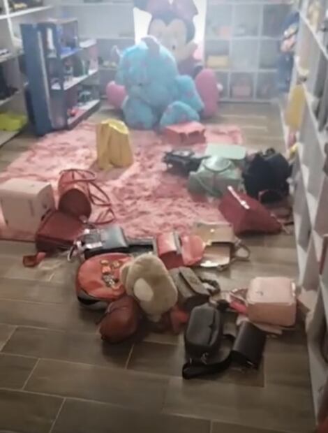 Mona y Geros sufren robo a su casa, ¡se llevan 2 millones de pesos y joyas!