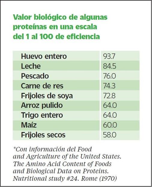 El huevo es la mejor proteína que puedes comer 