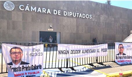 Diputado morenista asume como representante ante INE; es señalado como deudor alimentario y por presunta agresión sexual