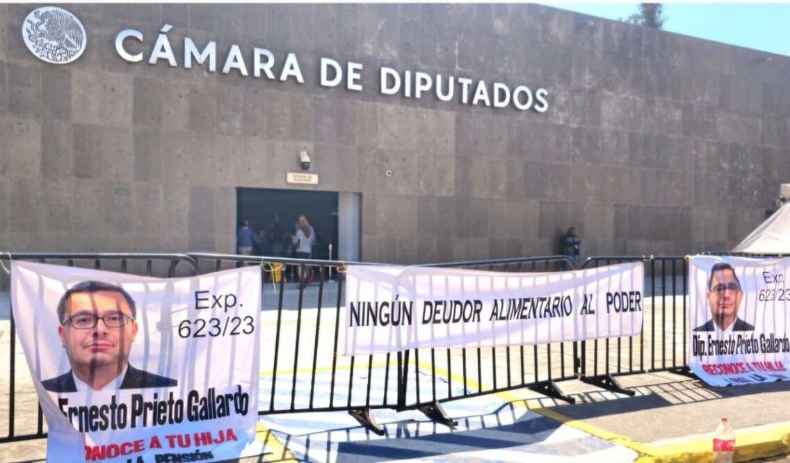 Diana Luz Vázquez exigió al diputado federal, Ernesto Prieto Gallardo que reconozca a su hija y pague la pensión provisional que debe (25/02/25). Foto: Especial