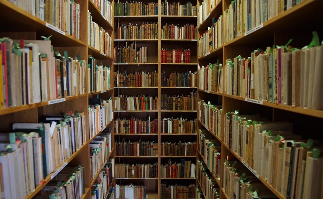 Foto: Archivo EL UNIVERSAL