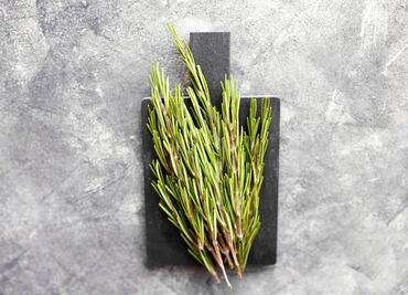 La hierba que mejora la memoria y la concentración