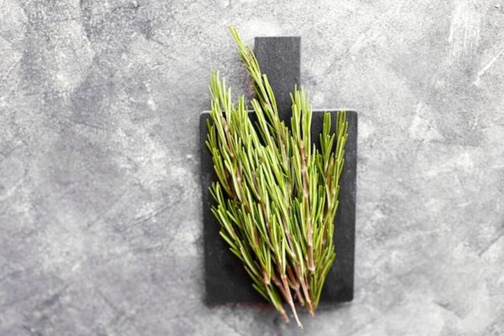 Romero | Fuente: Freepik.