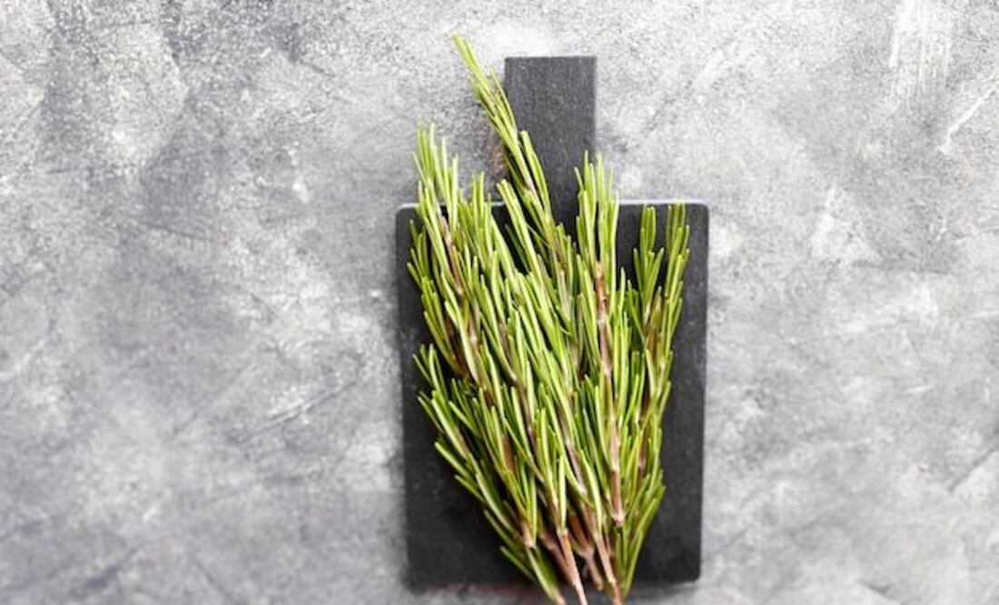 Romero | Fuente: Freepik.