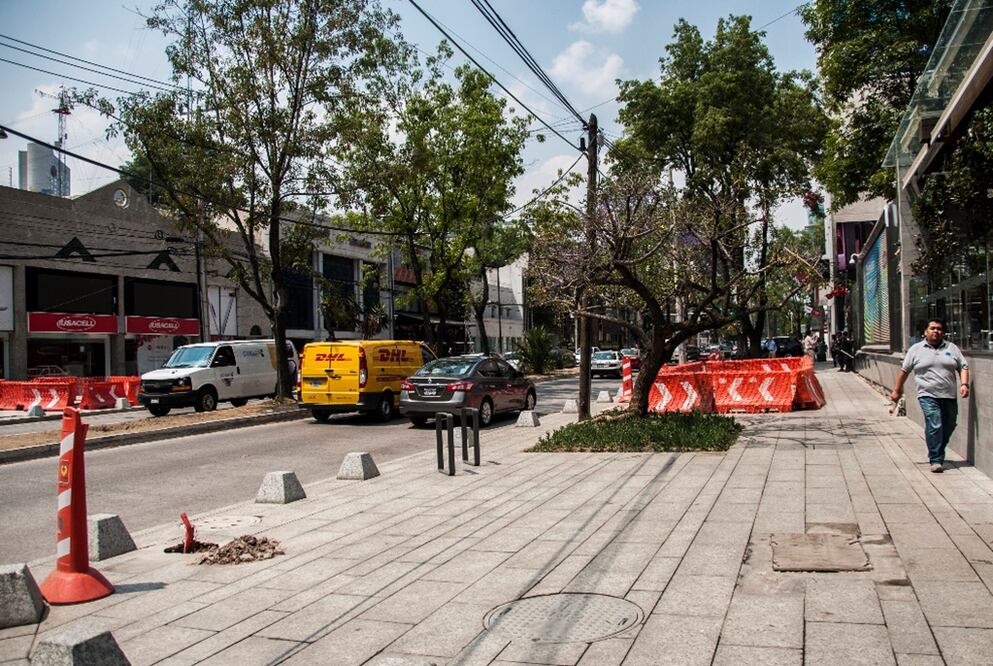 El alumbrado se colocará a lo largo de Masaryk, de Ferrocarril de Cuernavaca a Mariano Escobedo, para decorar el arbolado (ARCHIVO EL UNIVERSAL)