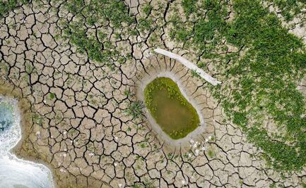 SRE presenta declaratoria para combatir cambio climático