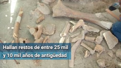 Hallazgos en Santa Lucía, un hito para la paleontología de AL