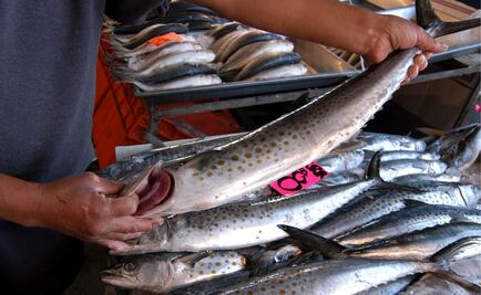 ​Emiten recomendaciones por consumo de mariscos en cuaresma
