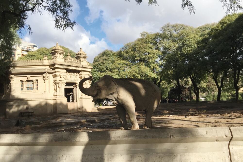 El zoo de Buenos Aires fue fundado en 1875 y reestatizado en junio debido a las malas condiciones en las que funcionaba (JAVIER SINAY. EL UNIVERSAL)