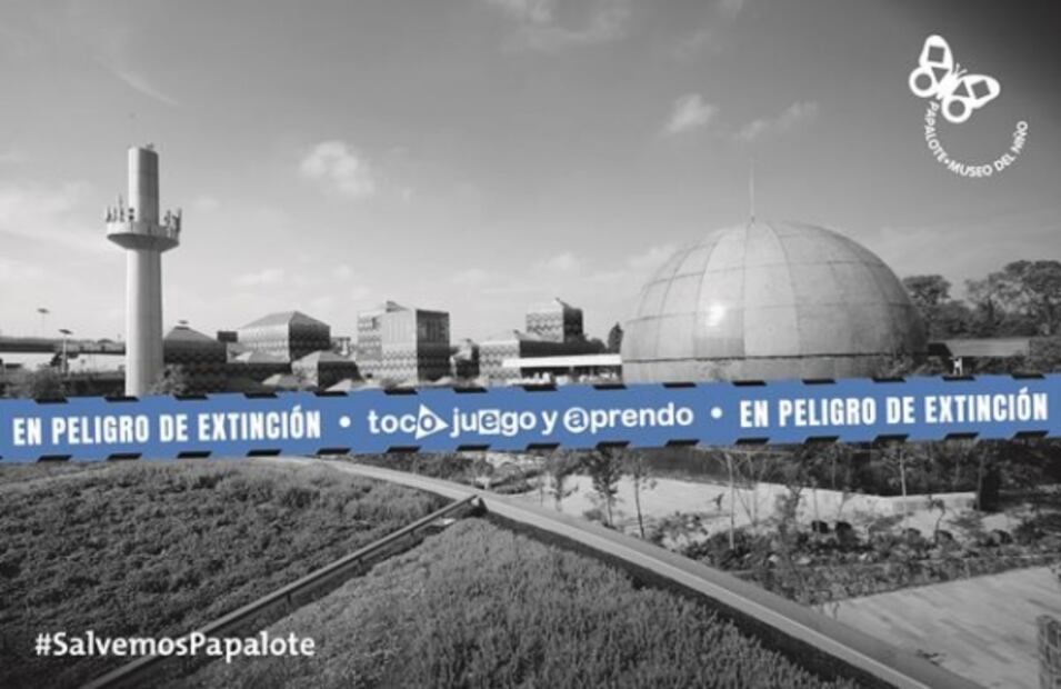 “No es una provocación, Papalote está en peligro de extinción”