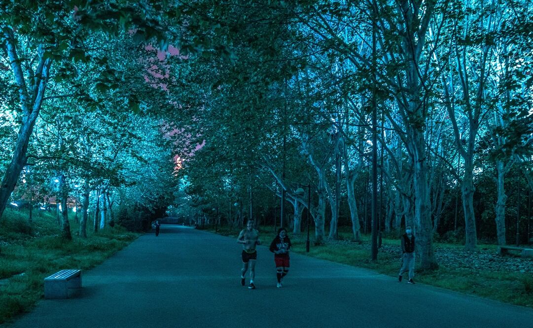 Foto: EFE/EPA/Roman Pilipey